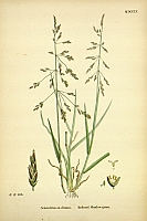  no thumbnail available