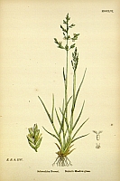  no thumbnail available