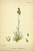  no thumbnail available