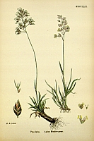  no thumbnail available