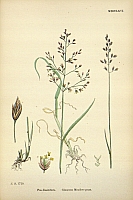  no thumbnail available