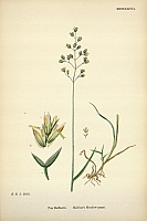  no thumbnail available