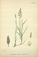  no thumbnail available