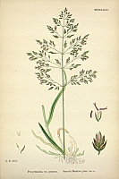  no thumbnail available