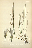  no thumbnail available