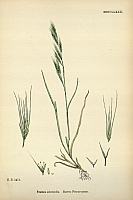  no thumbnail available