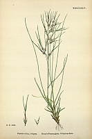  no thumbnail available