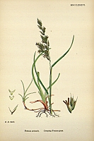  no thumbnail available