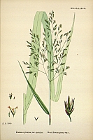  no thumbnail available