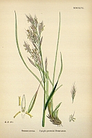  no thumbnail available