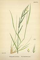  no thumbnail available