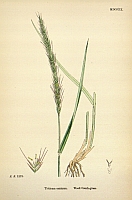  no thumbnail available