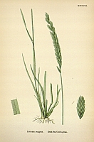  no thumbnail available