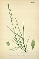  no thumbnail available