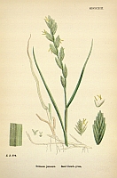  no thumbnail available