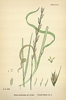  no thumbnail available