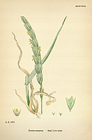  no thumbnail available