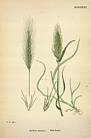  no thumbnail available