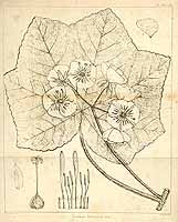  no thumbnail available