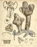  no thumbnail available