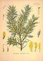  no thumbnail available