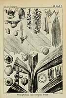  no thumbnail available