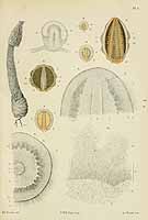  no thumbnail available