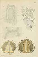  no thumbnail available