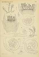  no thumbnail available