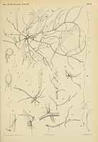  no thumbnail available