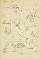  no thumbnail available