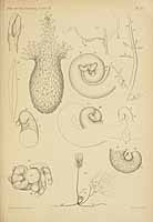  no thumbnail available