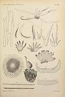  no thumbnail available