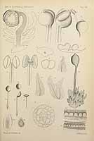  no thumbnail available