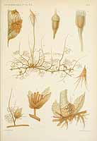  no thumbnail available