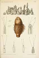  no thumbnail available