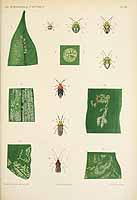  no thumbnail available