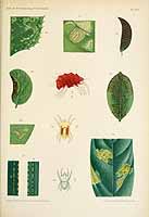  no thumbnail available