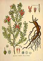  no thumbnail available