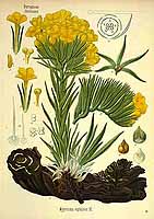  no thumbnail available