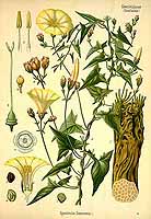  no thumbnail available