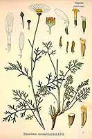  no thumbnail available