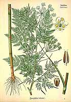  no thumbnail available