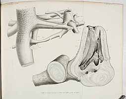  no thumbnail available