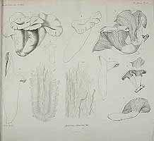  no thumbnail available