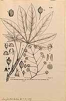  no thumbnail available