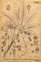  no thumbnail available