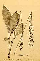  no thumbnail available