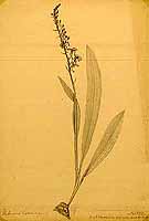  no thumbnail available