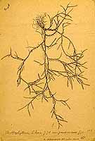  no thumbnail available